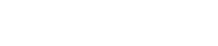 VNG Logo